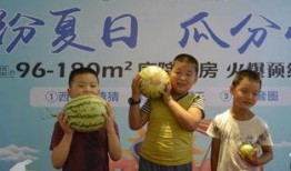 今日吃瓜--今日大赛,吃瓜群众狂欢盛宴