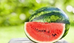 吃瓜网官网,带你领略网络娱乐资讯的盛宴