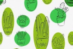 今日吃瓜在哪下载,揭秘“在哪下载”的便捷之旅